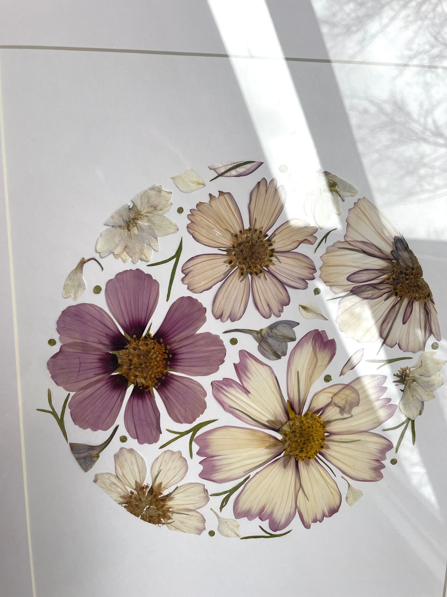 Pressed Floral Frame