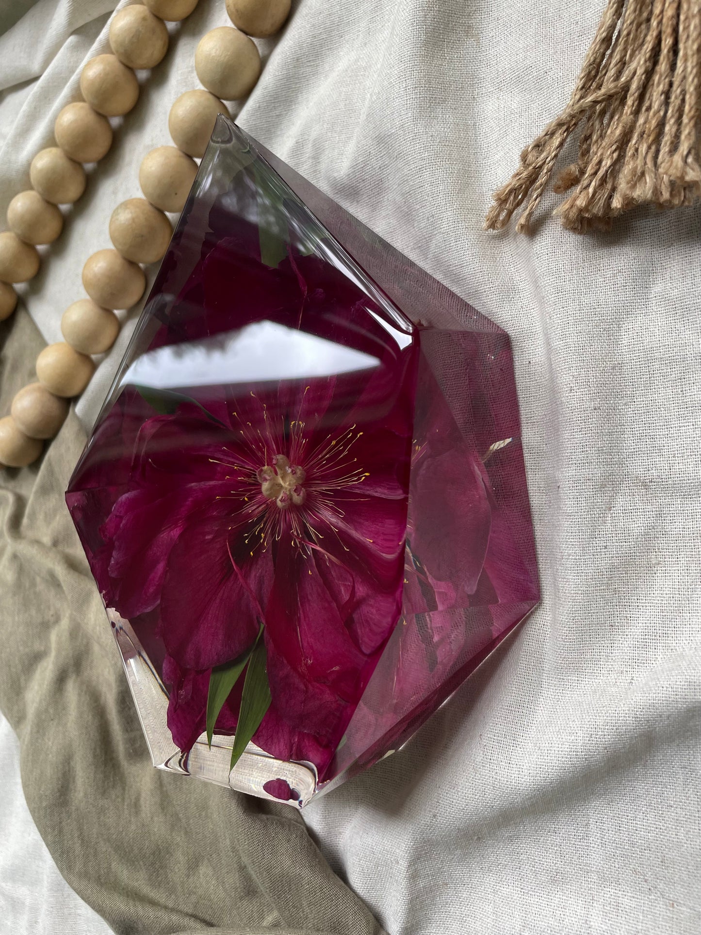 Preserved Peony
