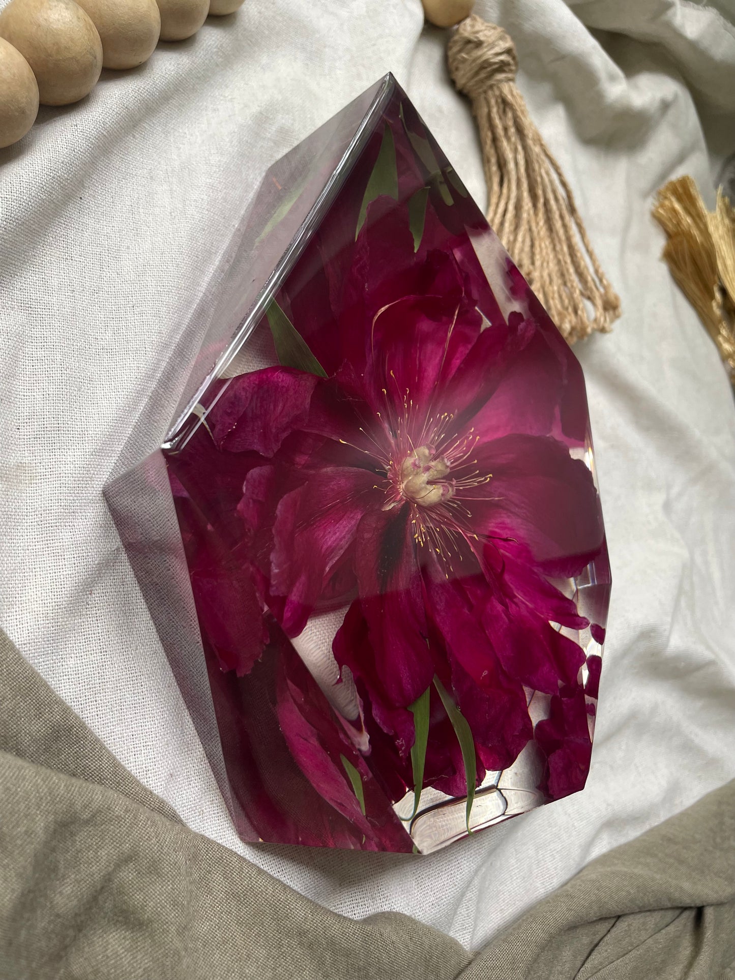 Preserved Peony
