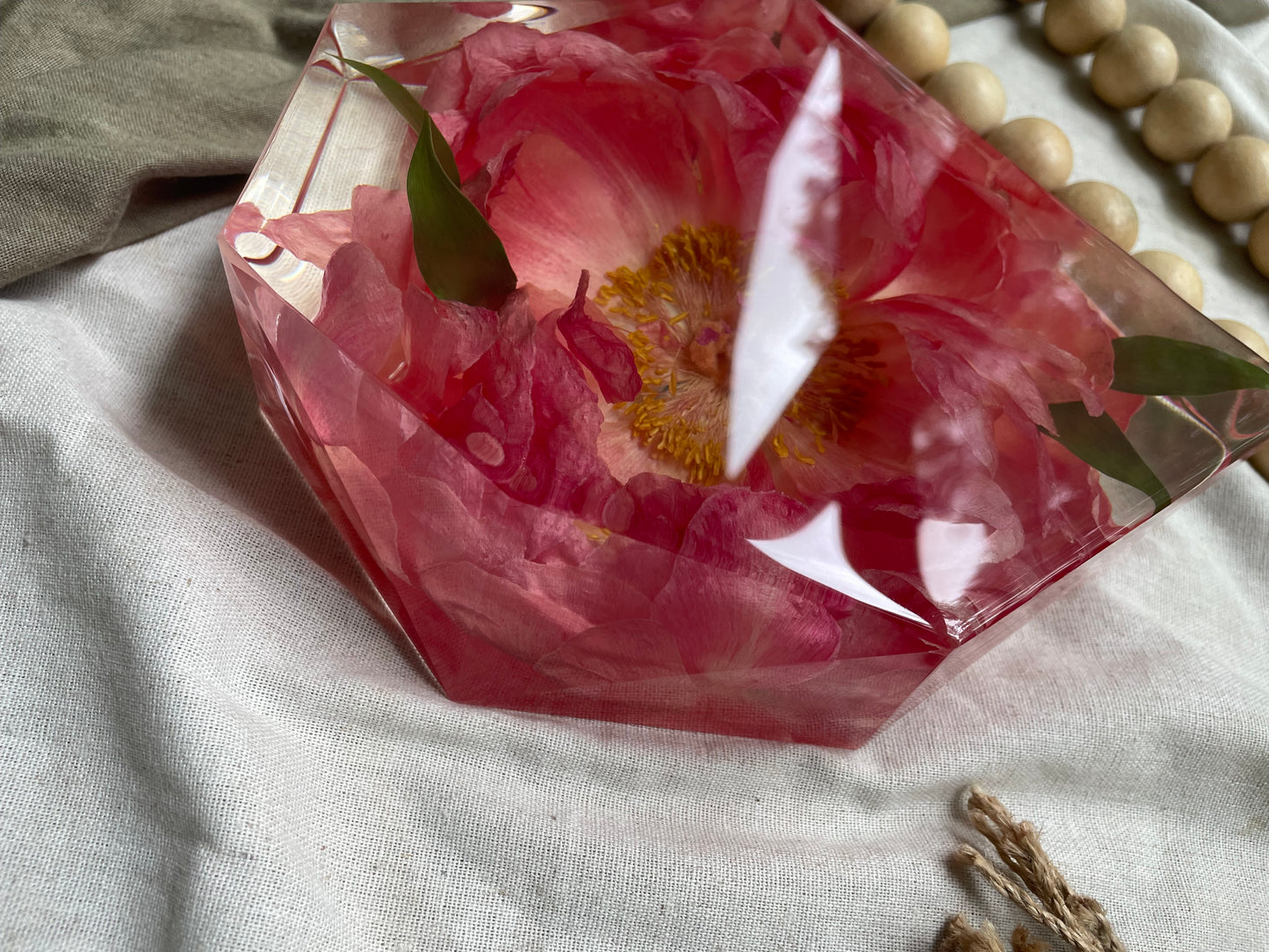 Preserved Peony