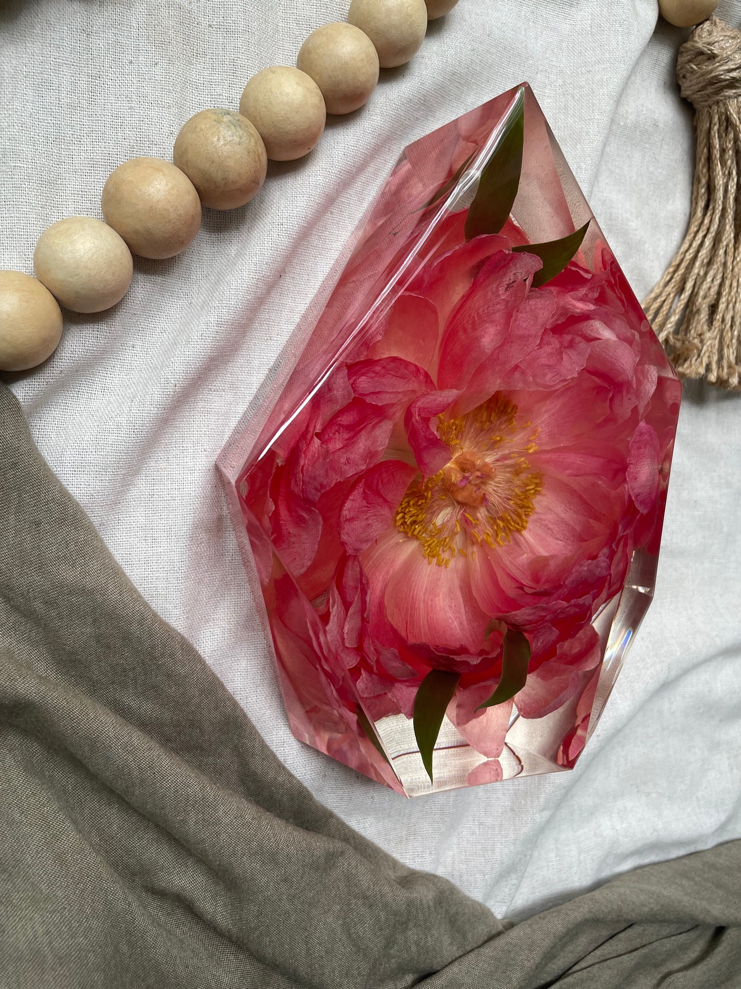 Preserved Peony