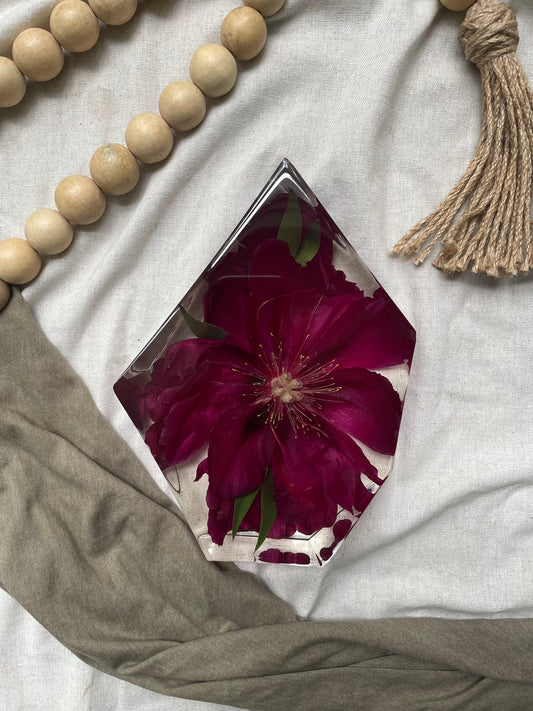 Preserved Peony